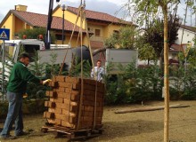 realizzazione giardini pianiga