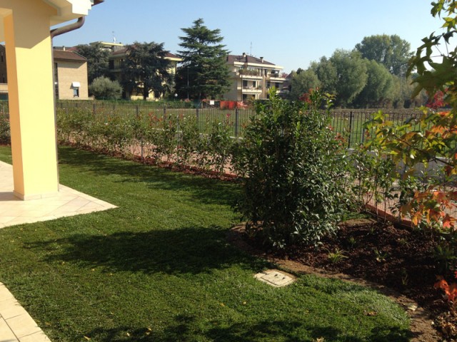 Progettazione e Realizzazione Giardini Padova (4)
