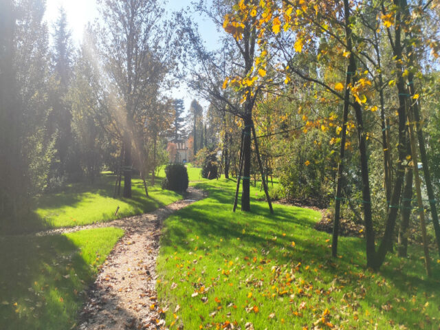 Restauro e creazione giardino villa Dolo (12)