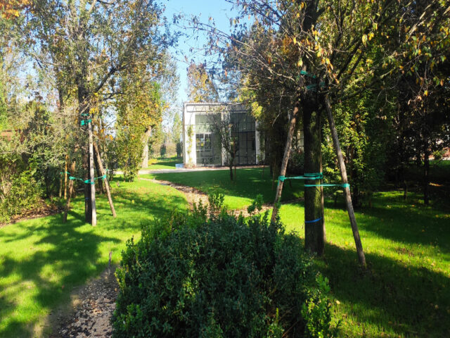 Restauro e creazione giardino villa Dolo (14)
