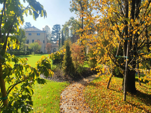Restauro e creazione giardino villa Dolo (16)