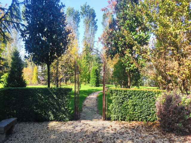 Restauro e creazione giardino villa Dolo (17)