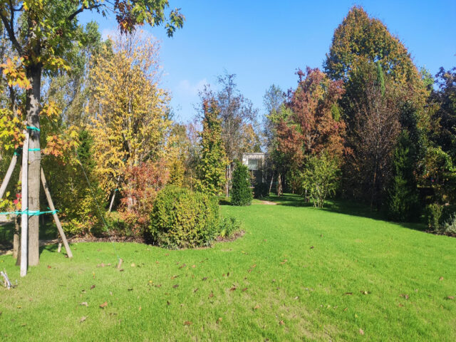 Restauro e creazione giardino villa Dolo (18)