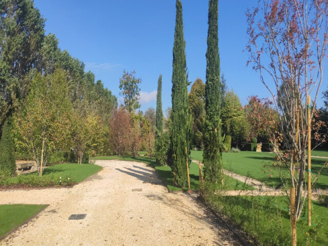 Restauro e creazione giardino villa Dolo (19)