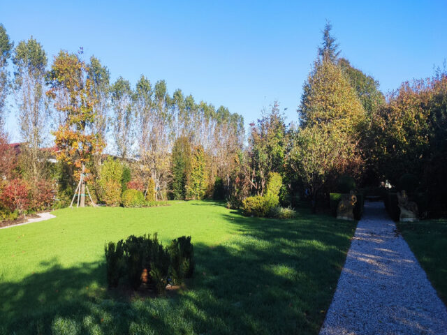 Restauro e creazione giardino villa Dolo (2)