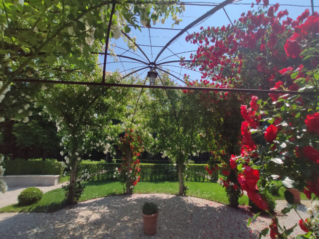 Restauro e creazione giardino villa Dolo (5)