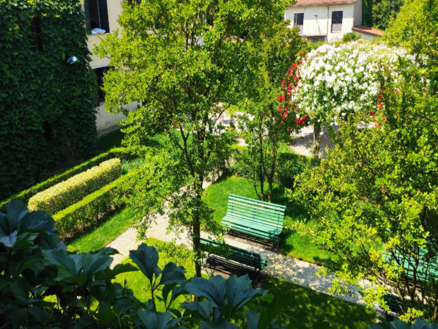 Restauro e creazione giardino villa Dolo (8)