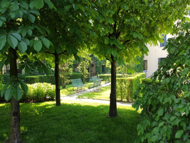 Restauro e creazione giardino villa Dolo (9)