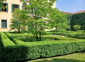 realizzazione e restauro di un giardino a Dolo