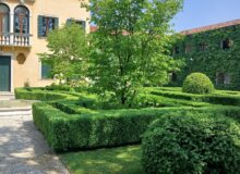 realizzazione giardino Dolo