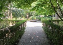 realizzazione e restauro di un giardino a Dolo