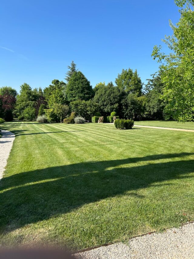 giardiniere Dolo
