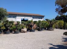 vivaio Camponogara