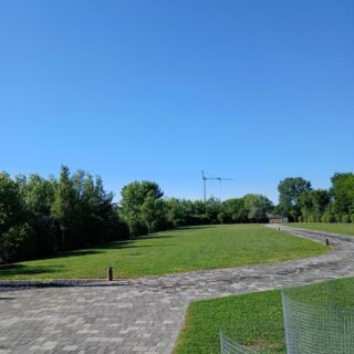 realizzazione giardino a Fossò