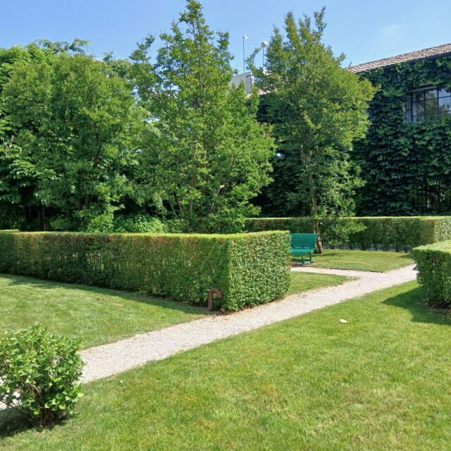 giardiniere camponogara (6)