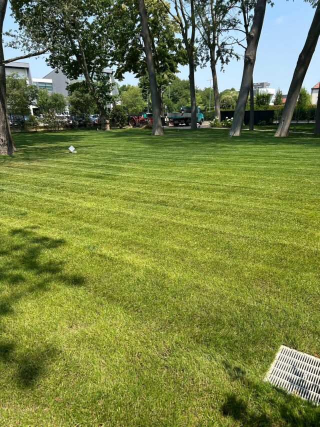 giardiniere noventana (2)