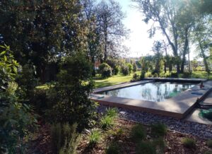 Realizzazione giardino a Noventana