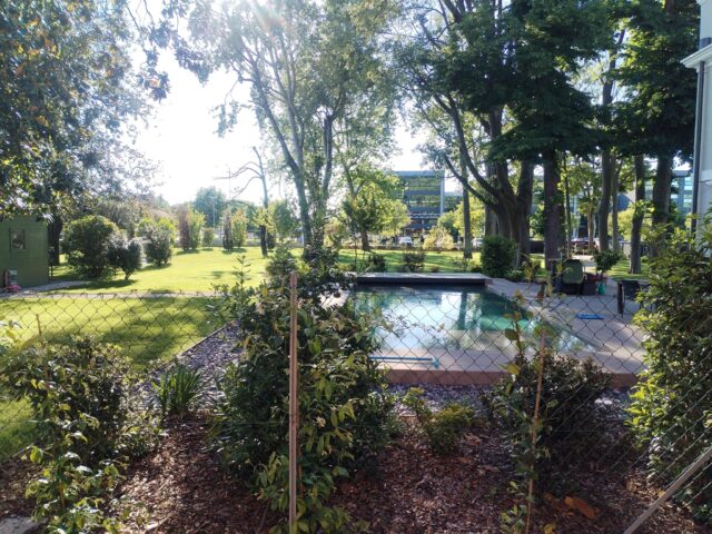 giardiniere noventana (4)