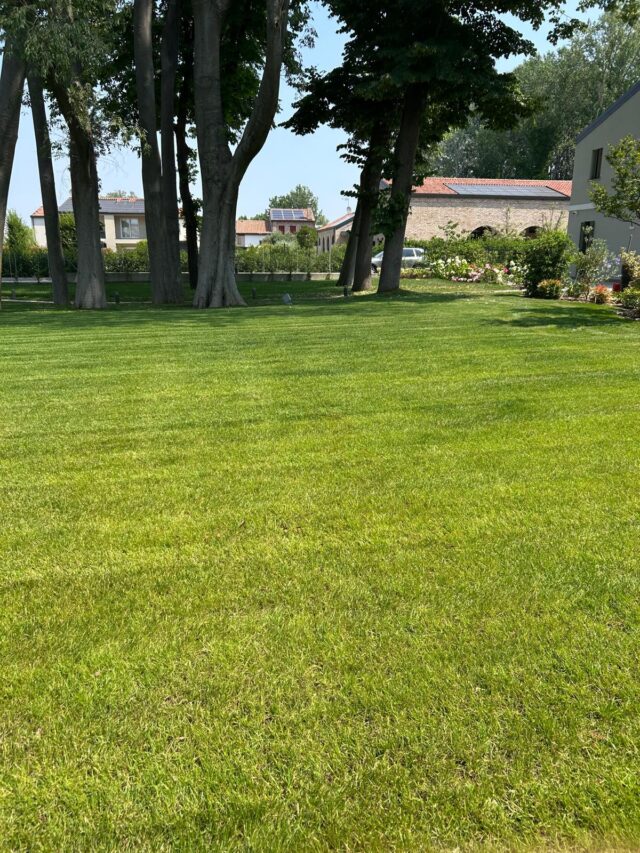 giardiniere noventana