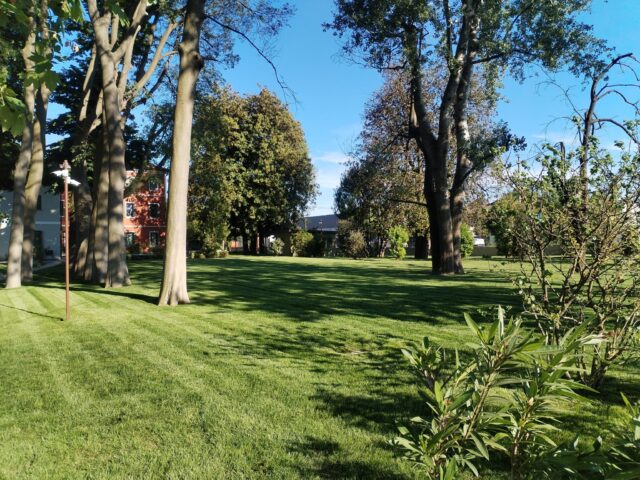 realizzazione giardini noventana (2)