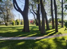 Realizzazione giardino a Noventana