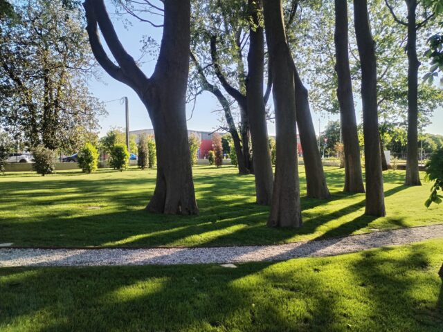realizzazione giardini noventana (5)